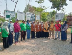 Gerakan Jum’at Menanam Dilaksanakan Mahasiswa KPM UI BBC